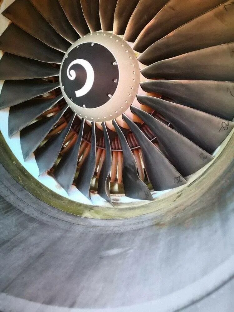 Двигатель самолета птица. Двигатель боинг 737. помпаж авиадвигателя. турбина самолета. помпаж двигателя самолета.