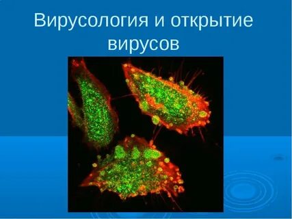 История вирусов биология