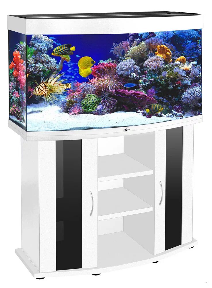 Аквариум миньянг 9 литров. Aquael shrimp set 30. Аквариум juwel lido 200 led. Аквариум 70 литров. Аквариум прямоугольный.