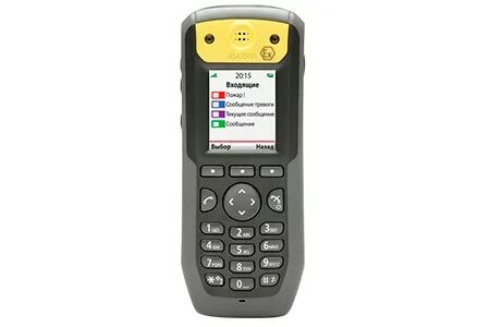 Ex 81