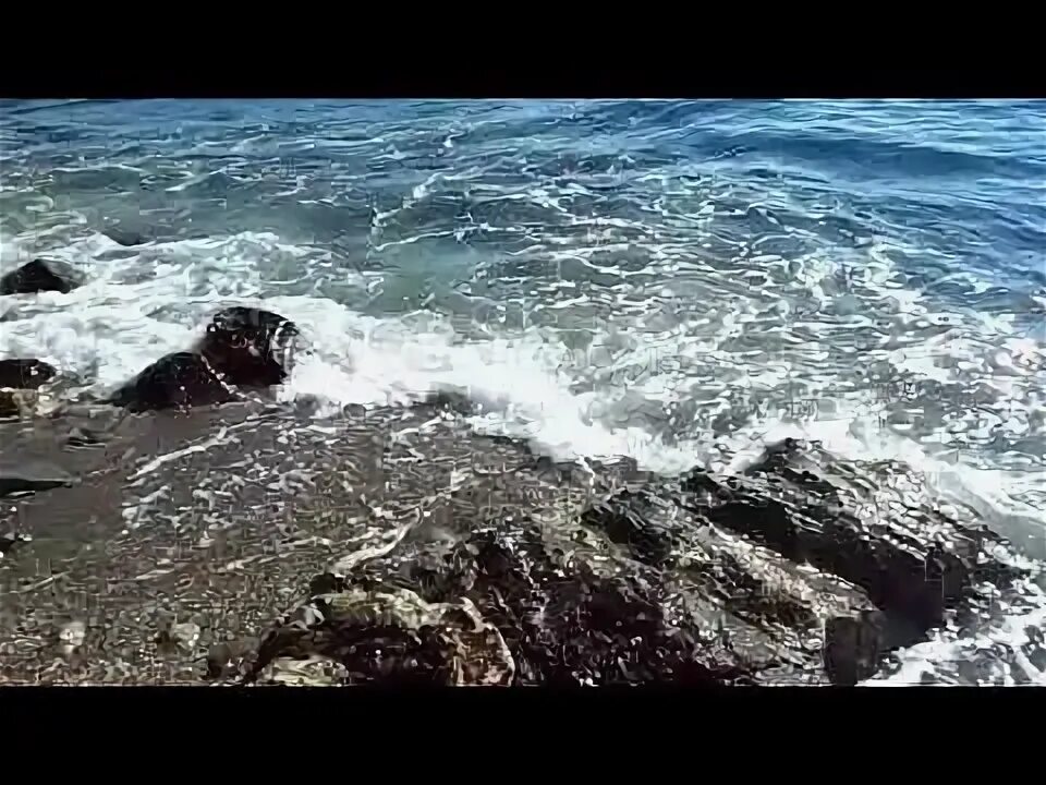 Песня соленые волны. Fill in mysterious Legend Ancient horrifying Coast Monster in the Mediterranean Sea.