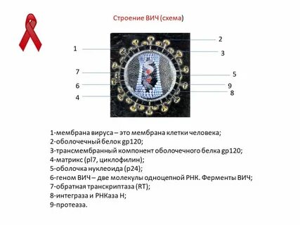 Вич схемы