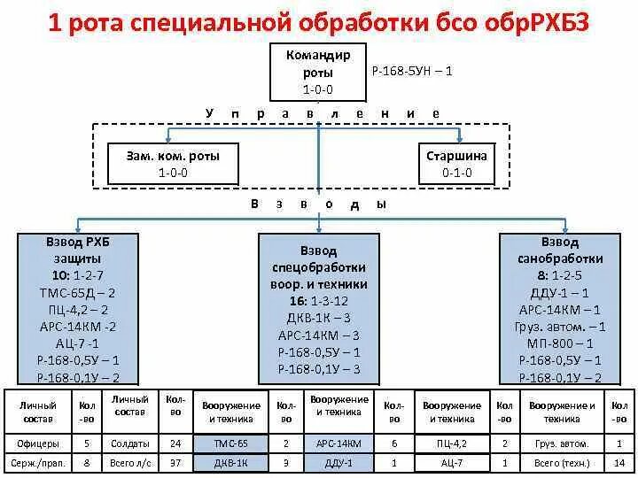 Заместитель командира роты какое звание. Обязанности старшины роты. Обязанности старшины роты в армии. Состав роты РХБЗ разведки. Рота разведки РХБЗ.