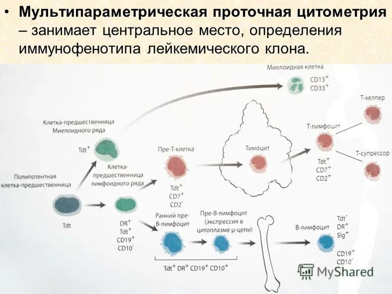 Лейкемический провал это