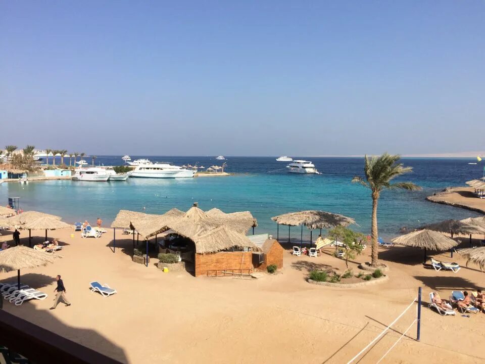 Египет отель Реджина Хургада. Swiss Inn Resort Hurghada пляж. Свисс ИНН Хургада. Свисс ИНН Резорт Хургада.