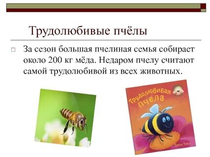 Трудолюбивая пчела