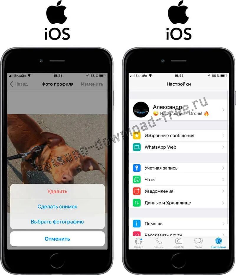 Как поставить аватарку в ватсапе на айфоне. Картинки для профиля в ватсапе. Как установить фото на аватарку. Изображение профиля в ватсапе.