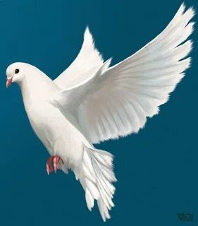 Немересін тәрбиелеп отырған атаның порно видеосы