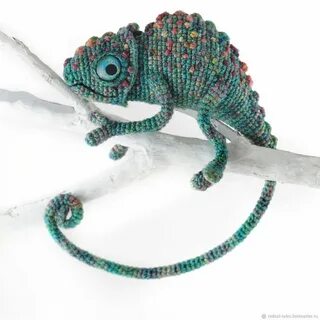 Кот хамелеон