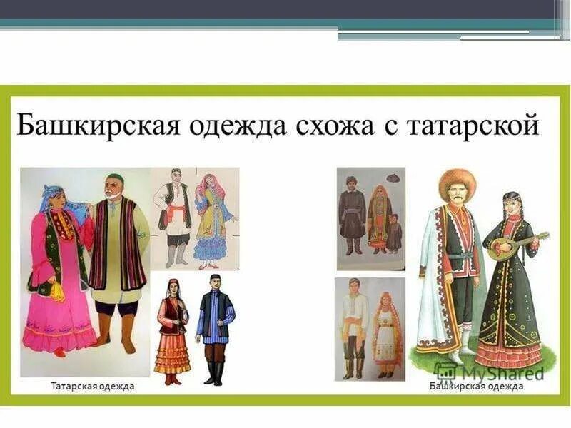 Чем отличается башкирский