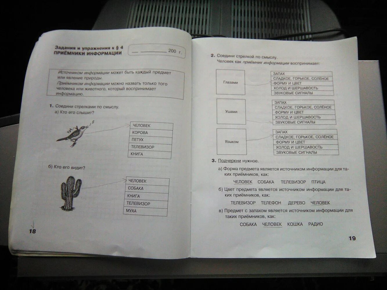 Рабочая тетрадь по информации. Информатика 2 кл рабочая тетрадь стр 19. Информатика 2 кл рабочая тетрадь стр 19 домашние задания. Информатика 3 класс рабочая тетрадь стр 18. Информатика 2 класс стр 18.