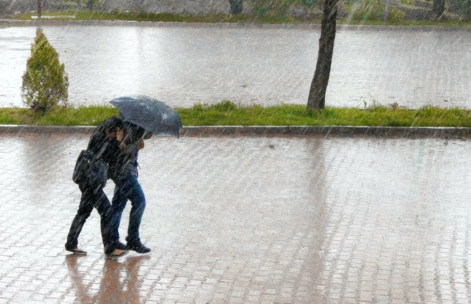 Дождь закончился ближе к полудню. Дождь закончился ближе к полудню