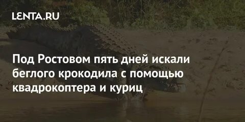 В ростове на 5 дней