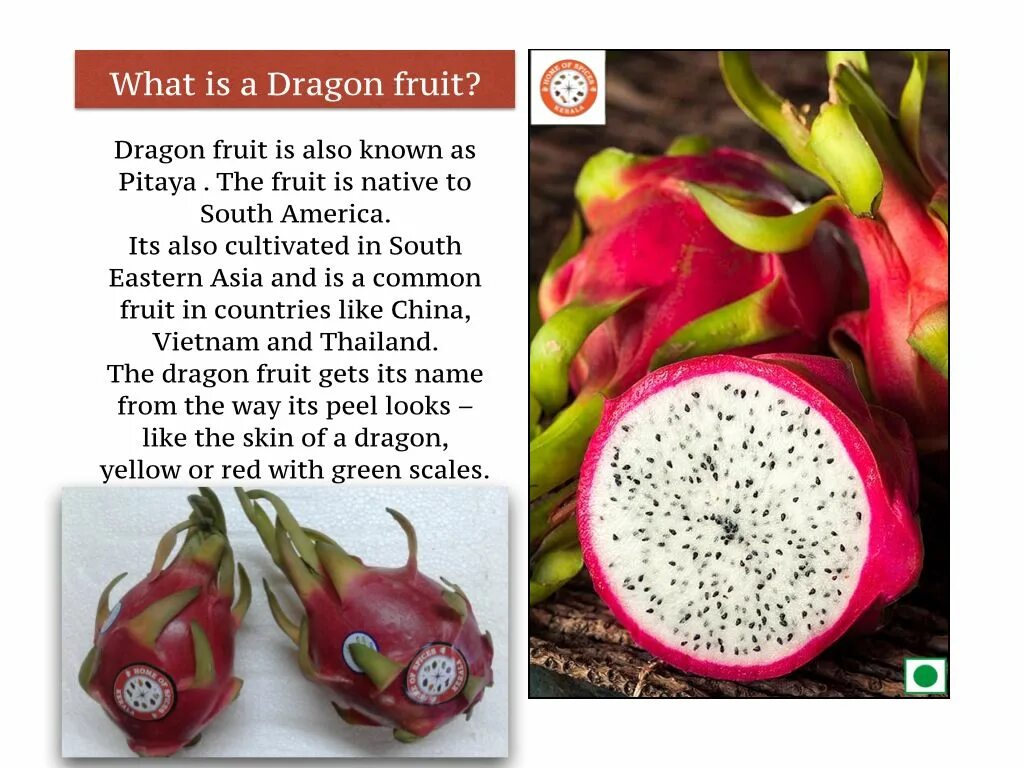 Питахайя сообщение про фрукт. Питахайя сообщение про фрукт. Питайя питахайя. Питайя фрукт сердце дракона. Драконий фрукт презентация.