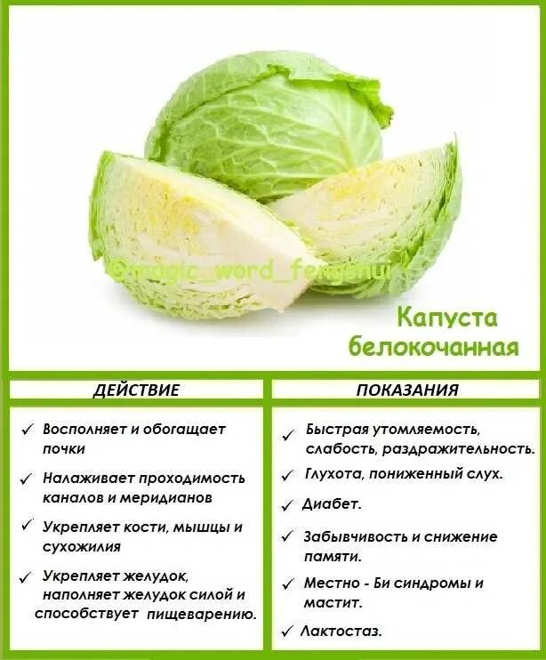 Можно ли кормящим капусту