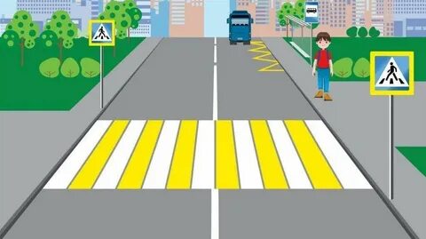 Әйелдердің бөкселері мен анустары