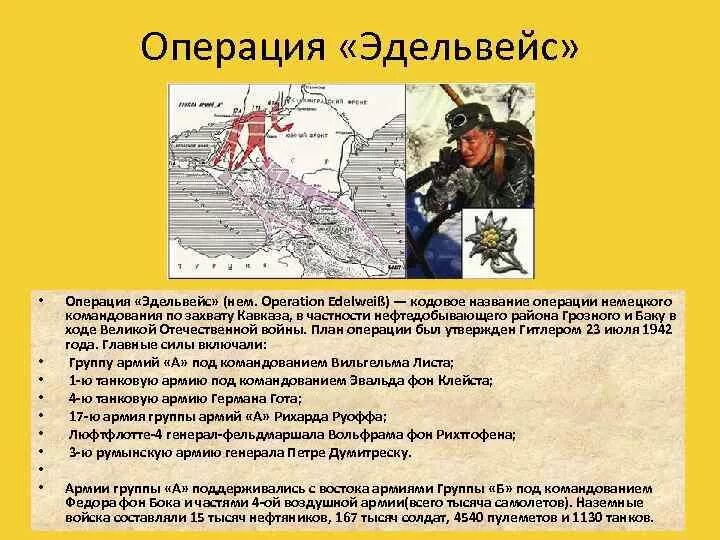 Кодовое название операции по захвату. План захвата Кавказа Эдельвейс. План Эдельвейс битва за Кавказ. План Гитлера по захвату Кавказа Эдельвейс. Эдельвейс операция 1942.