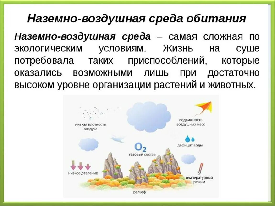 Доклад на тему воздушно наземная среда. Описание наземно воздушной среды. Над земно – воздушная среда обитания. Надземновоздушная среда обитания. Наземноводзудашная среда обитания.