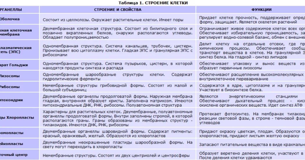 Строение клетки органеллы строение функции таблица. Строение клетки функции органоидов клетки таблица. Таблица клеточные органоиды строение и функции. Органоиды клетки строение и функции таблица. Пищеварительный органоид клетки