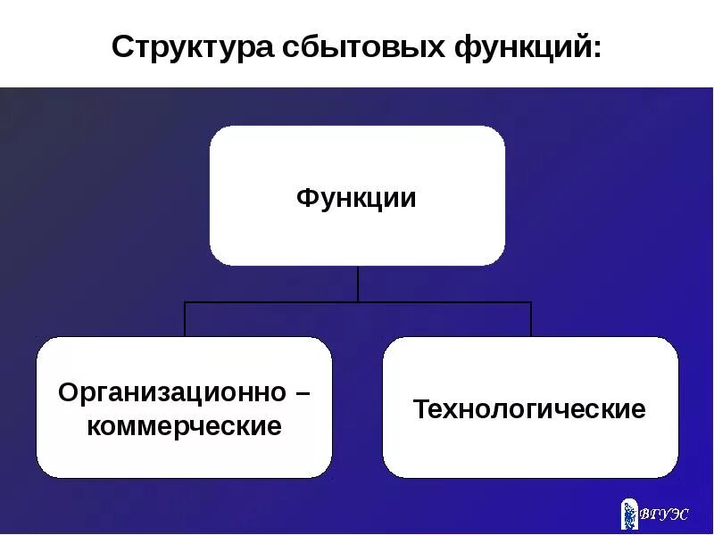 Организация торгово сбытовой деятельности организации. Схема сбытовой деятельности. Сбытовая деятельность предприятия. Функции сбытовой деятельности. Сбытовые цели организации.