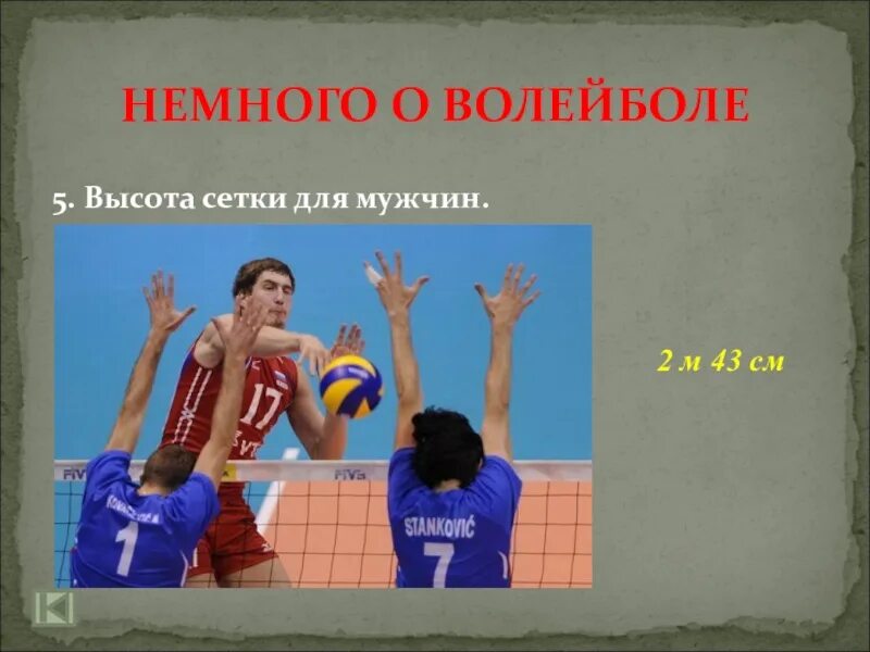 размеры волейбольной площадки и высота сетки. высота волейбольной сетки для юношей. стандарт волейбольной сетки у мужчин высота. высота сетки в волейболе для юношей. высота женской волейбольной сетки в волейболе.