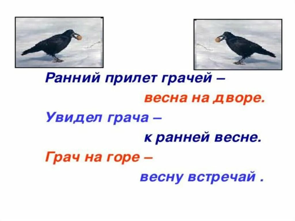 Птицы вестники весны. Грачи придумать предложение. Презентация птицы вестники весны.