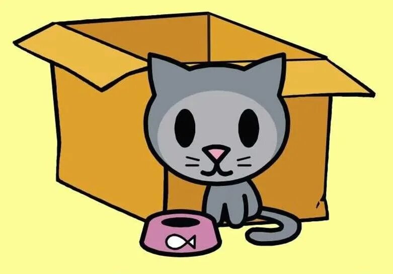 The cat is in the box