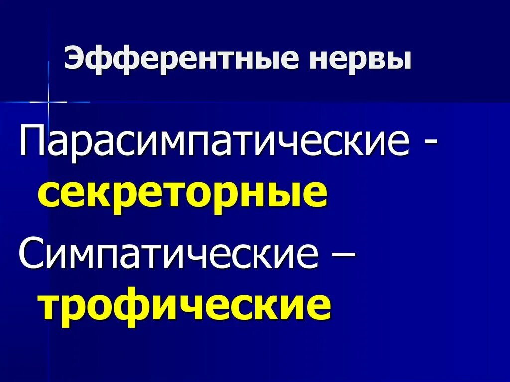 Афферентные и эфферентные нервные волокна. Афферентные и эфферентные. Афферентные проводящие пути мозжечка. Афферентная и эфферентная иннервация. Эфферентные пути.