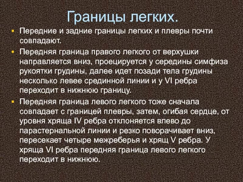 Передняя граница легких. Границы легких. Передняя граница правого легкого. Задняя граница лёгких. Задняя граница плевры.