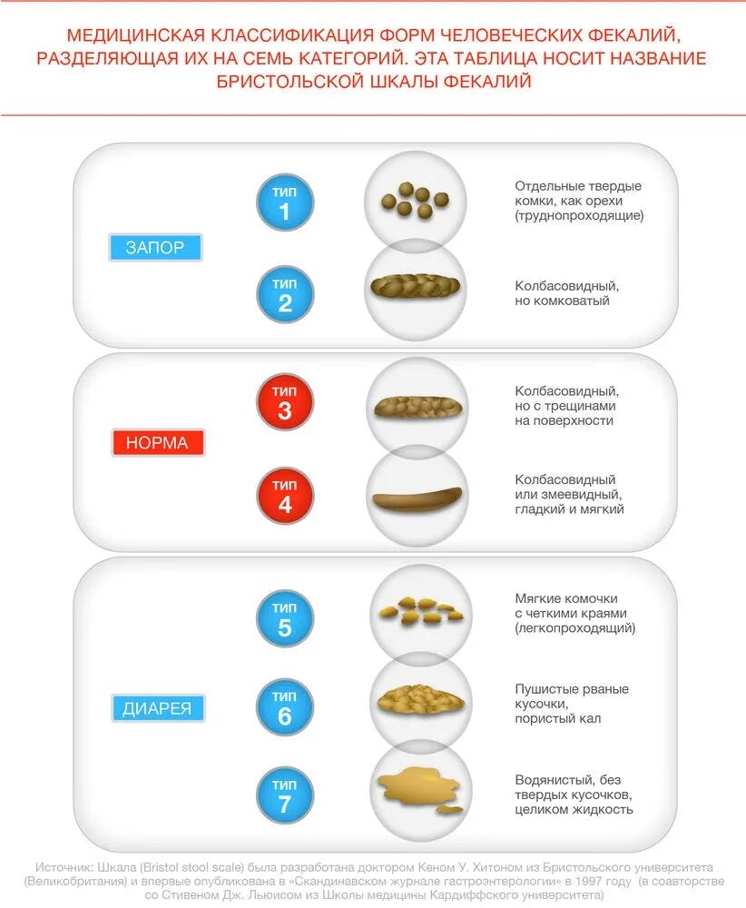 Какой кал у человека норма. Тип фекалий. Нормальный цвет стула у взрослого. Классификация кала. Классификация стула.