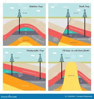 Types of oil