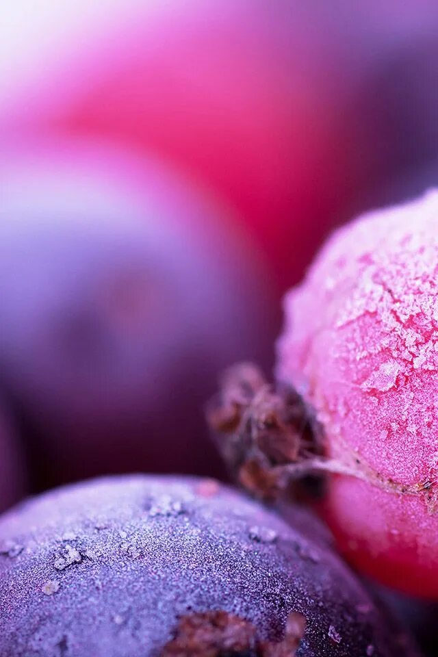 Purple berry