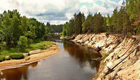 Сам рек