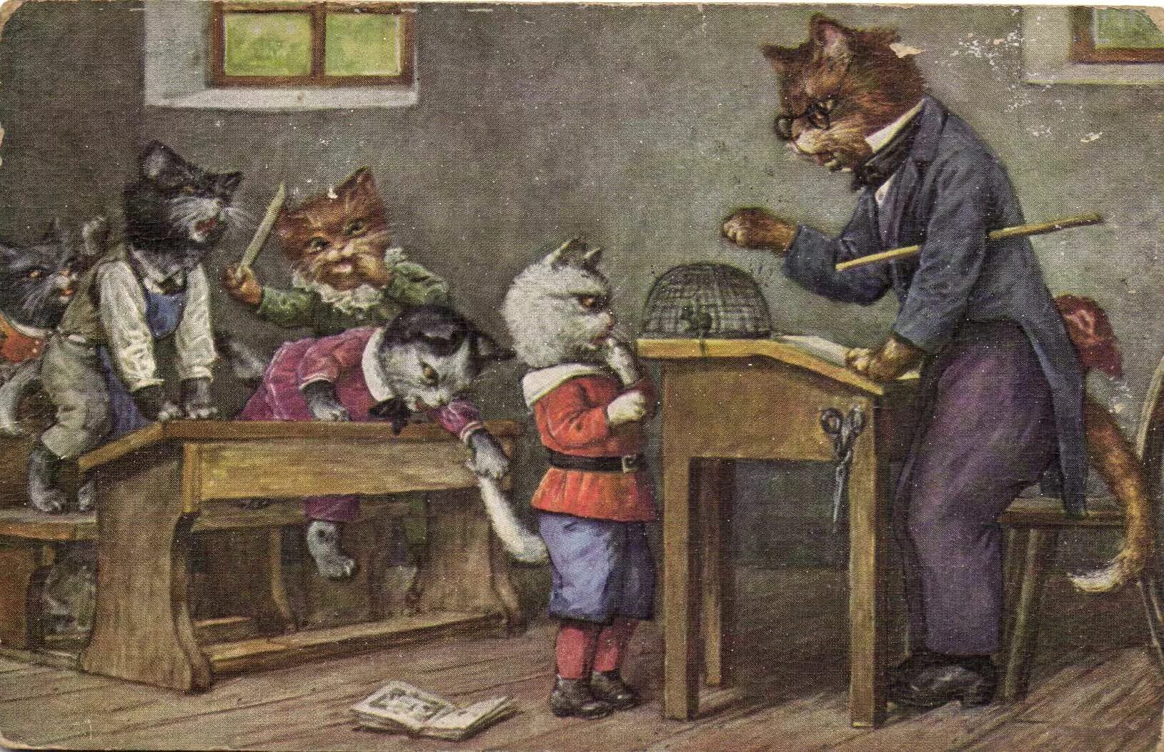 Котята в школе. Котик ученик. Котята в школе. Котята в школе. Школа питомцев.