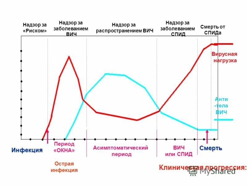 Серонегативное окно при вич. Период окна при ВИЧ-инфекции это. График вирусной нагрузки ВИЧ. Окно при ВИЧ инфекции. Стадии ВИЧ на графике.