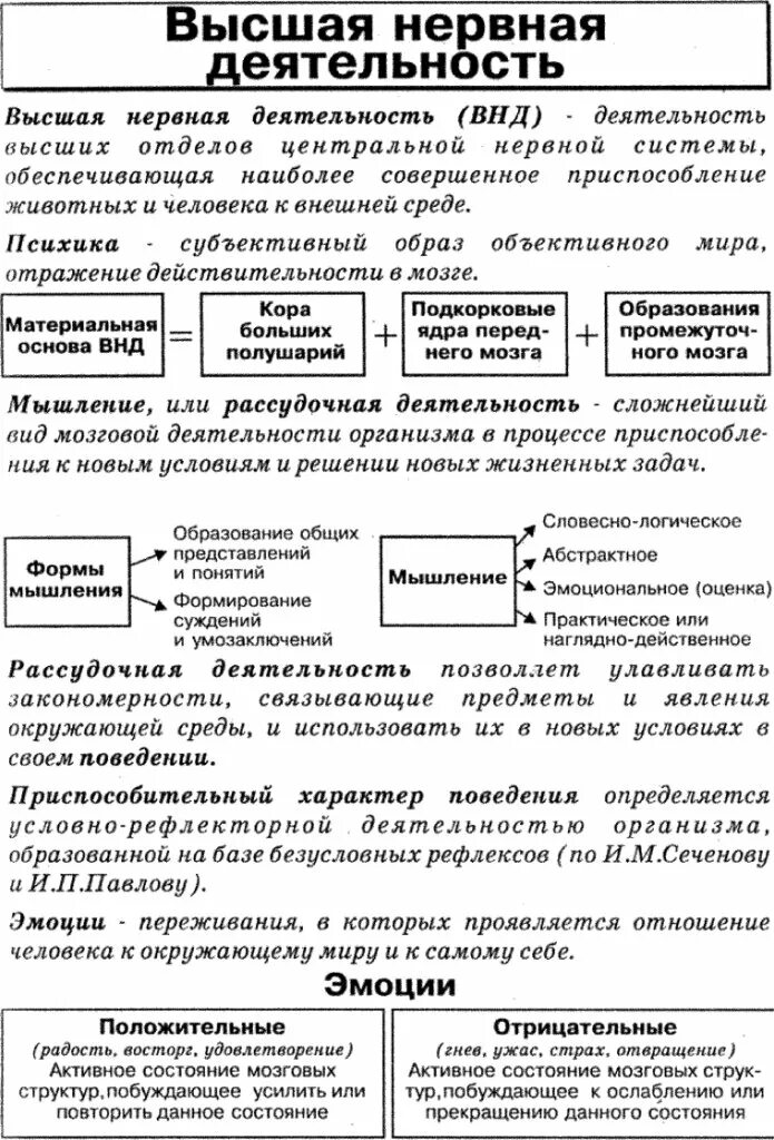 Высшей нервной деятельности является. Высшая нервная деятельность таблица анатомия. внд высшая нервная деятельность. высшая нервная деятельность схема. характеристика типов высшей нервной деятельности таблица.