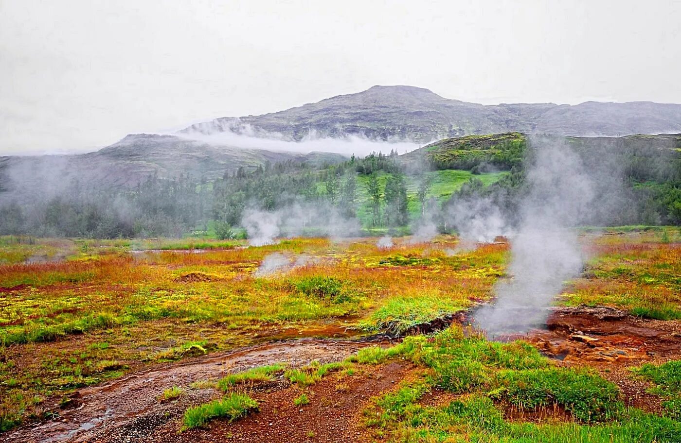 В какой стране не встречаются гейзерные. Долина гейзеров Хаукадалур. Гейзерная Долина Исландия. Рейкьявик Долина гейзеров. Исландия вулканы и гейзеры.