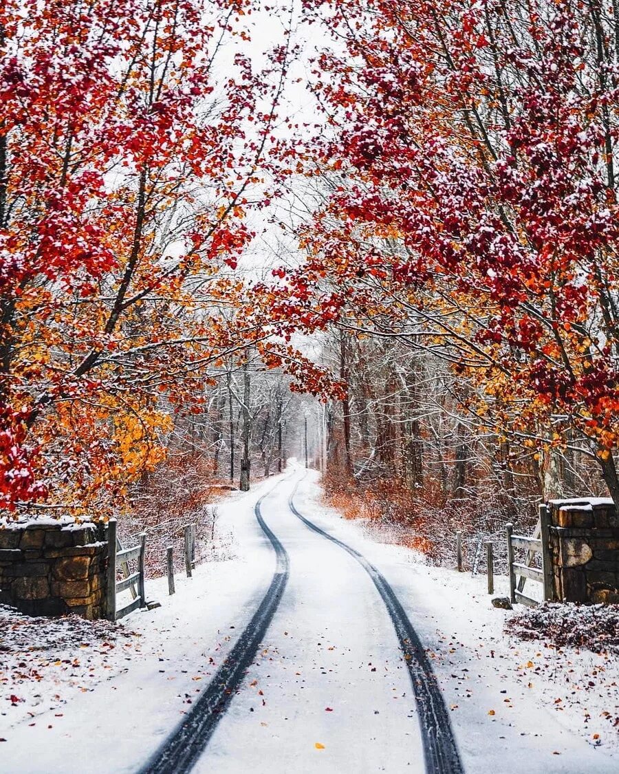 Ранняя зима. Поздняя осень. Ноябрь природа. Осень снег. С зимой с первым снегом