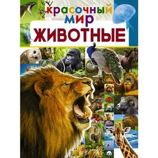 Книга мир животных