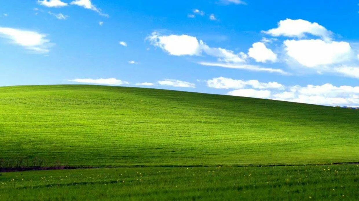 Вин хр. Виндовс XP. Windows XP рабочий стол. Безмятежность Windows XP. Поле безмятежность.