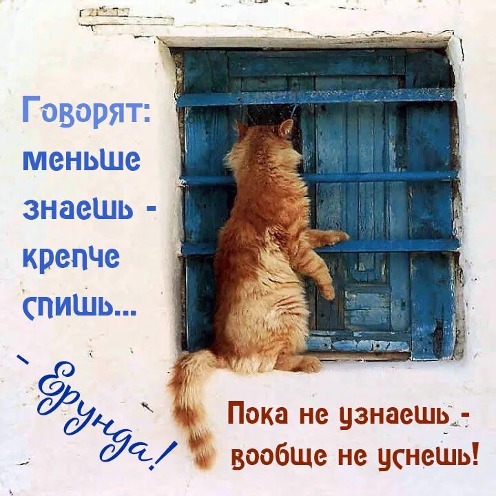 больше крепче спишь. меньше знаешь крепче. спи крепко. меньше знаешь лучше спишь. меньше знаешь крепче.