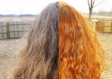 Хна для волос сколько