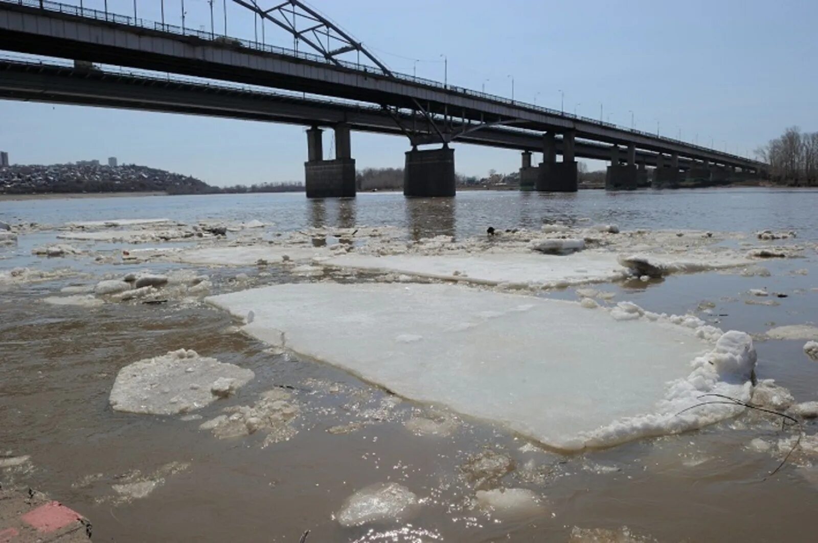 Вода в реках уфы. Паводок 2022 Уфа. Подтопление Уфа. Река Берсувань Башкирия. Река белая сейчас в Уфе.