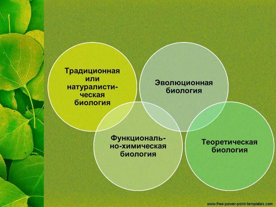 Зачем биология. Магистральные направления биологии. Основные направления биологии. Современные направления в биологии. Направления развития современной биологии.