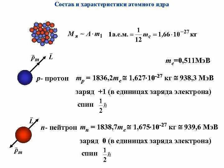 Какое ядро образовалось в результате реакции. Состав атомного ядра. ядерные силы. энергия связи атомных ядер 9 класс. состав атомного ядра формула. строение ядра энергия связи ядерные реакции. характеристики ядра и ядерные силы.