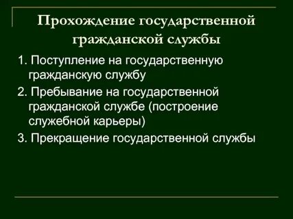 Практика на государственной службе