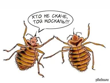 Хто не скаче той