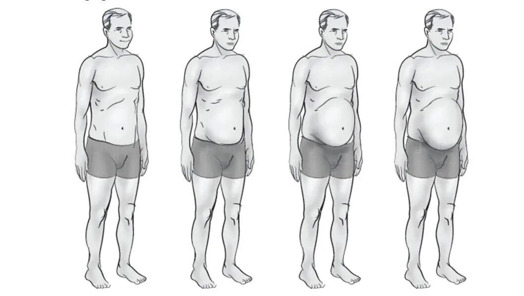Виды мужской фигуры. Печеночный Тип телосложения у мужчин. Мужская фигура по женскому типу. Формы живота у мужчин. Типы мужских фигур.