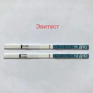 Тесты по 12 веку