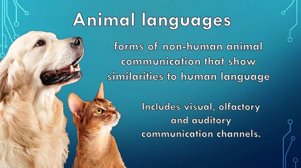 Animal communication